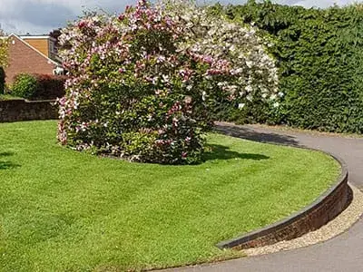 Late spring feed treatment being applied to a Wadebridge lawn by Green Stripe Lawn Care