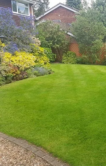 Spring treatments off to a great start. Lovely dark green in Wadebridge even before today's feed ☀️