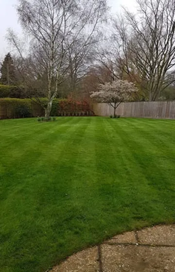 Lawns drying out — a good weekend for a first cut. Only reduce height by 1/3 ✂️