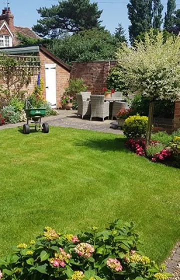 Lawn Care Programmes
